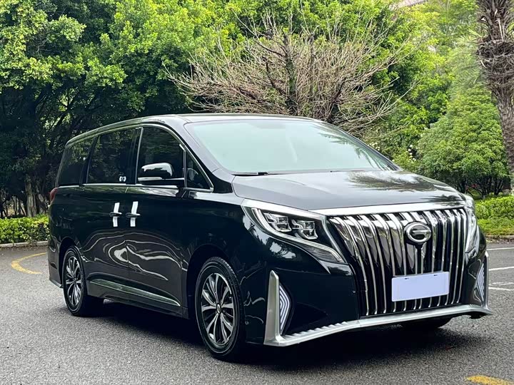 Фото 1 - GAC Trumpchi M8