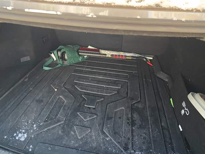 Фото 4 - BYD Qin L