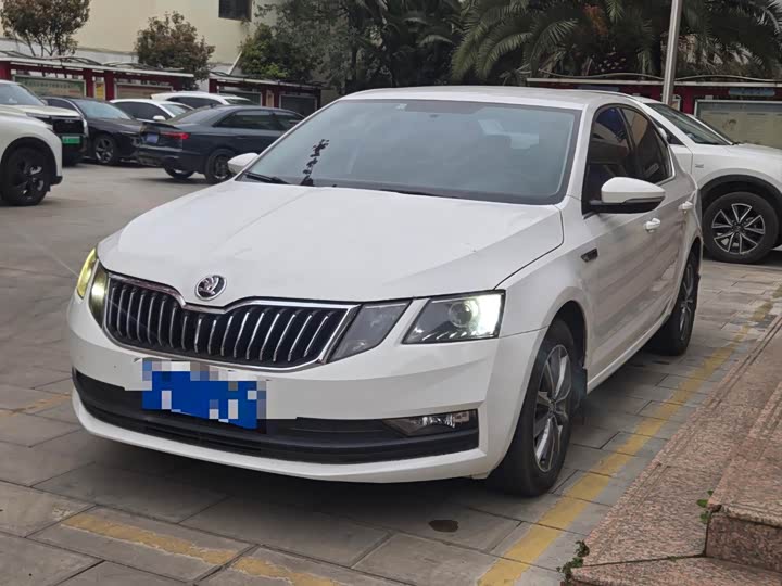 Фото 1 - Skoda Octavia Pro