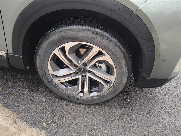 Фото 6 - Haval Ruge