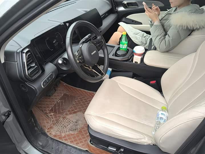 Фото 9 - Haval Ruge