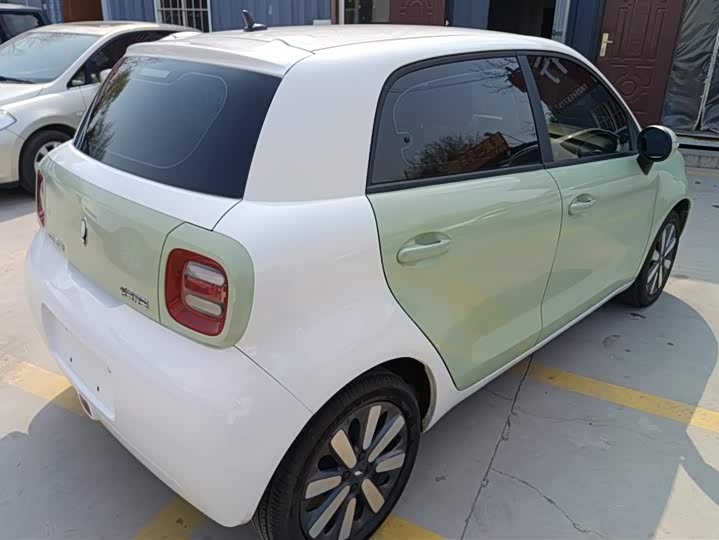 Photo 3 - Ora Black Cat