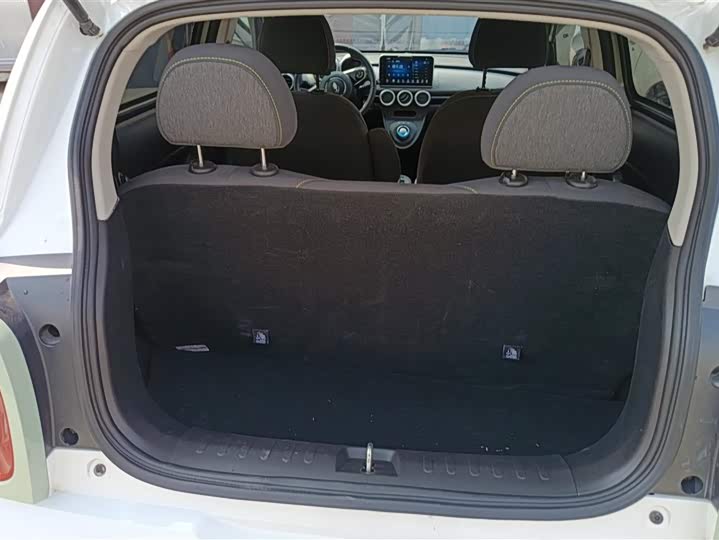 Photo 4 - Ora Black Cat