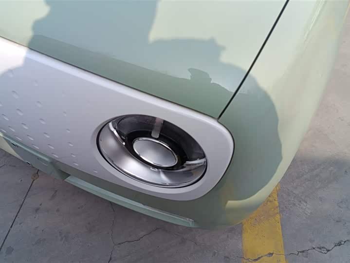 Photo 5 - Ora Black Cat