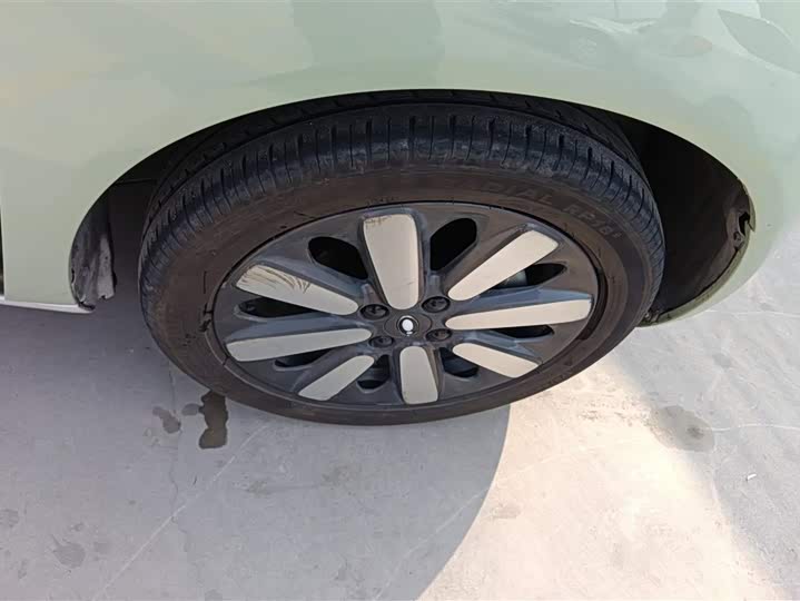 Photo 6 - Ora Black Cat