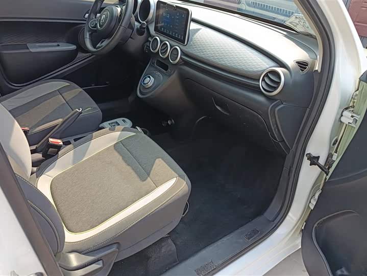 Photo 8 - Ora Black Cat