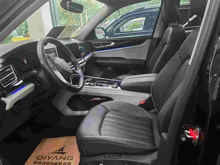 Photo 4 - Volkswagen Teramont Pro