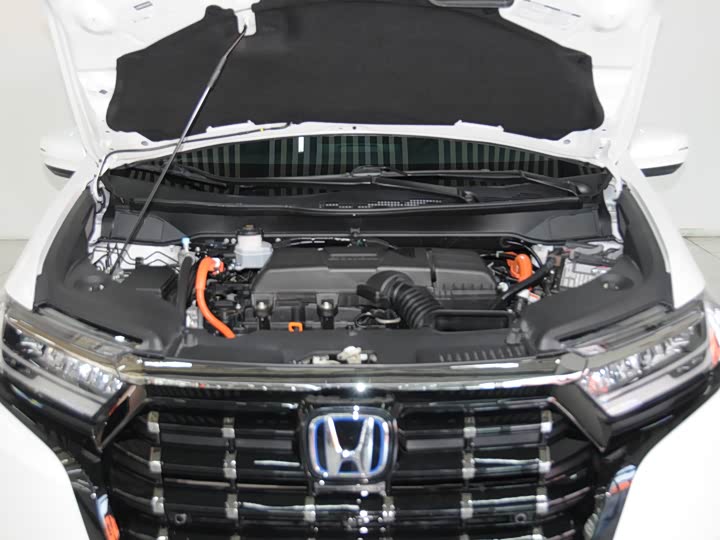 Фото 6 - Honda Elysion