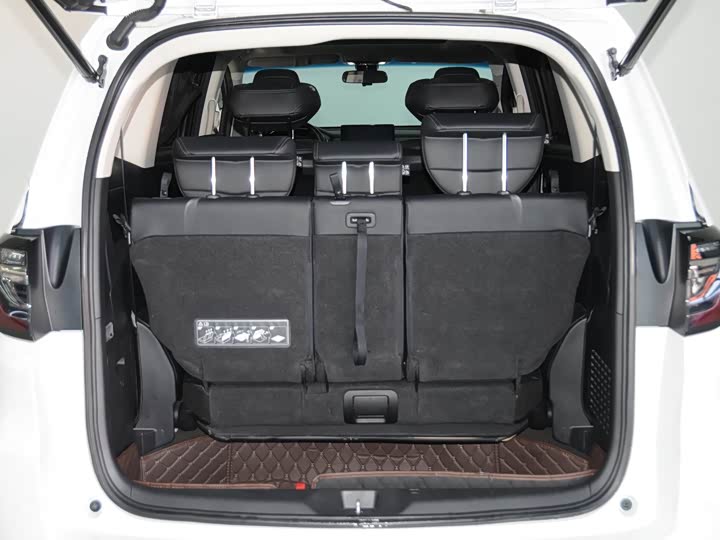 Фото 7 - Honda Elysion