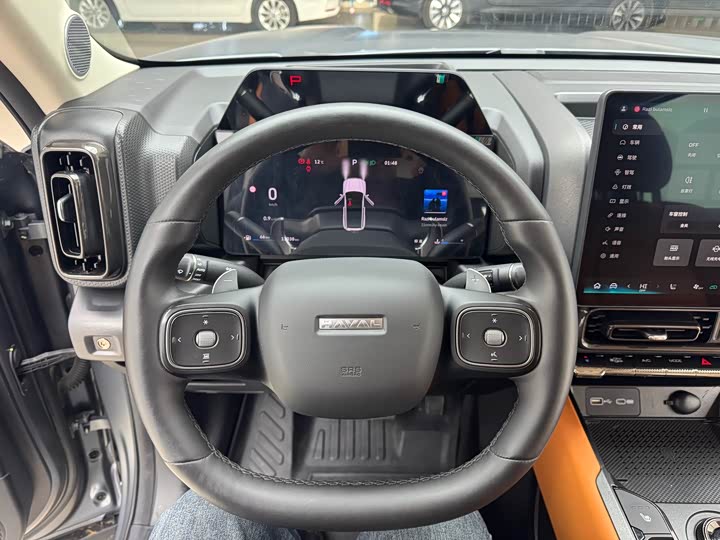 Photo 9 - Haval Raptor