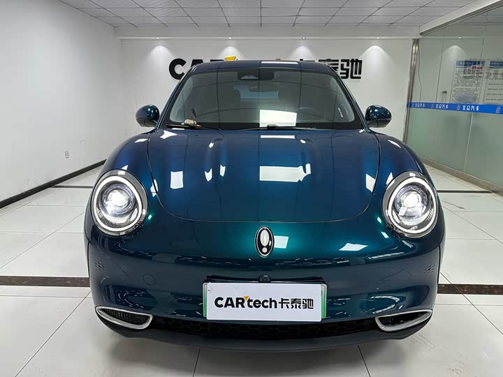 Photo 2 - Ora Good Cat (03)