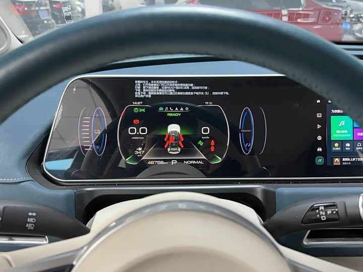 Photo 9 - Ora Good Cat (03)