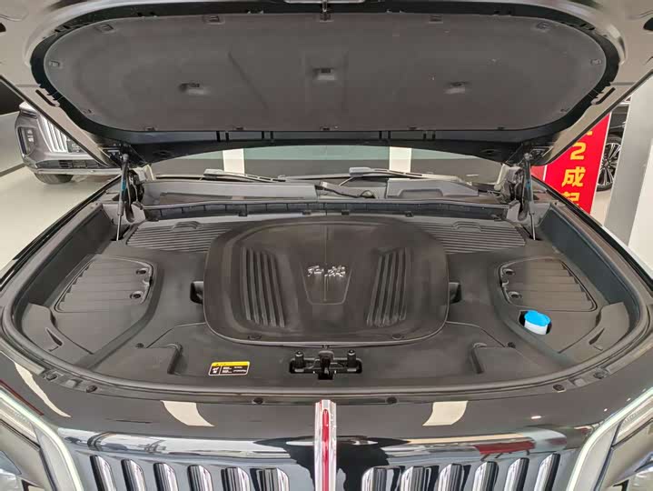 Hongqi E-HS9 2022 2022款 660km 旗畅版 六座