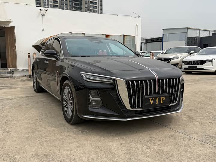 Фото 3 - Hongqi H5