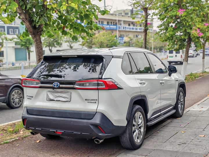 Фото 6 - Toyota Wildlander