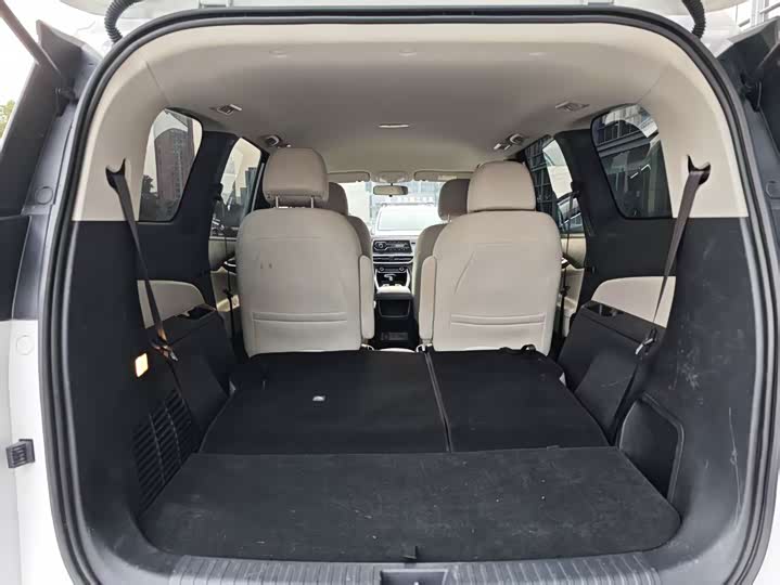 Фото 8 - Maxus Mifa 5