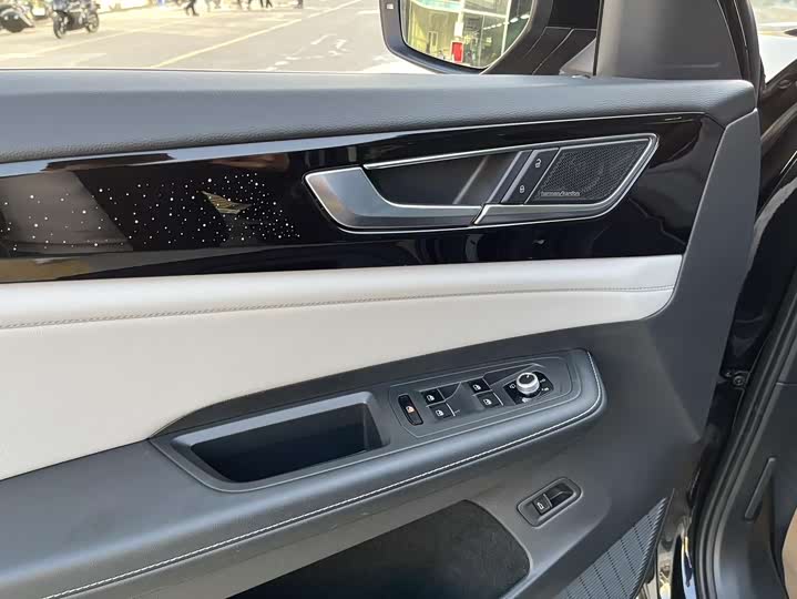 Photo 6 - Volkswagen Teramont Pro