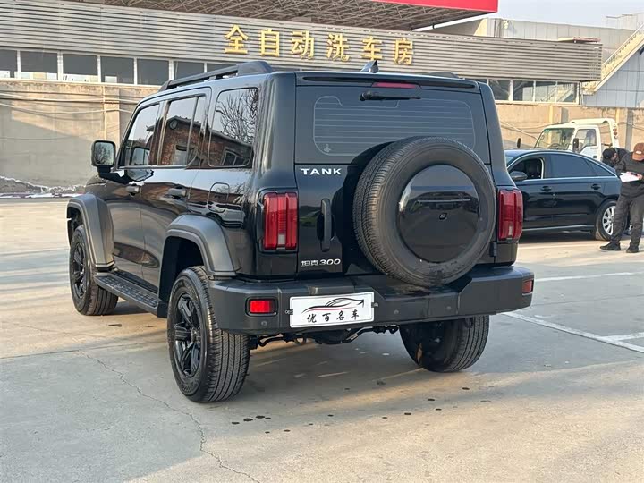 Фото 4 - Tank 300