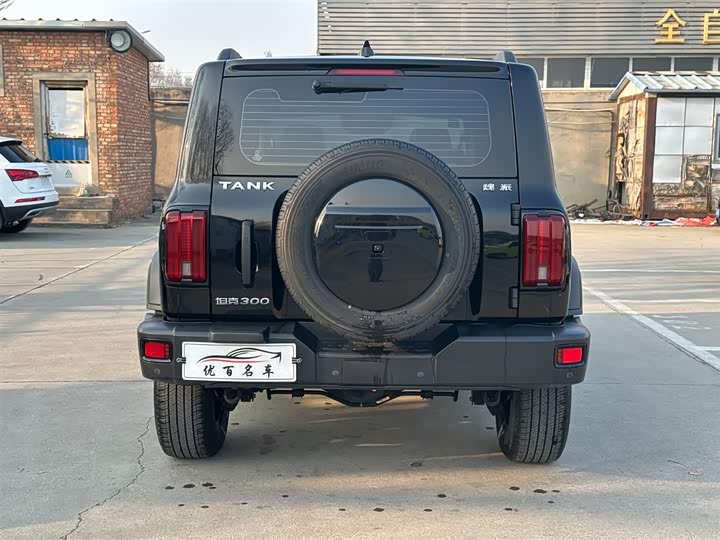 Фото 5 - Tank 300