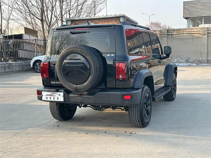 Фото 6 - Tank 300