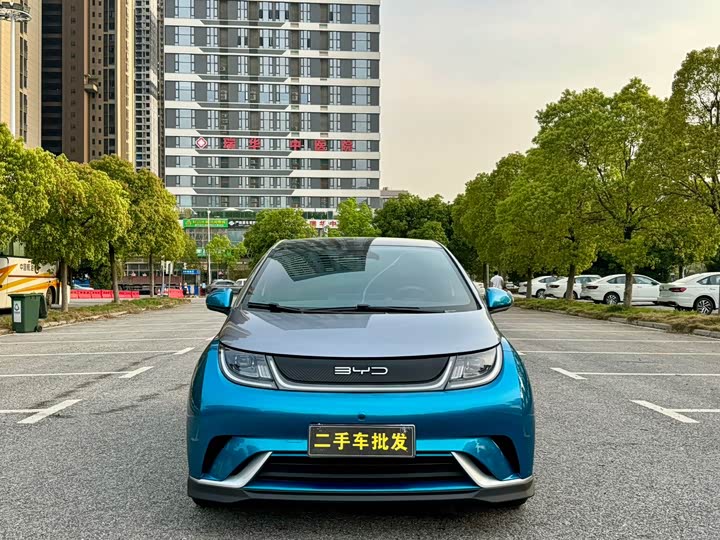 Фото 2 - BYD Dolphin