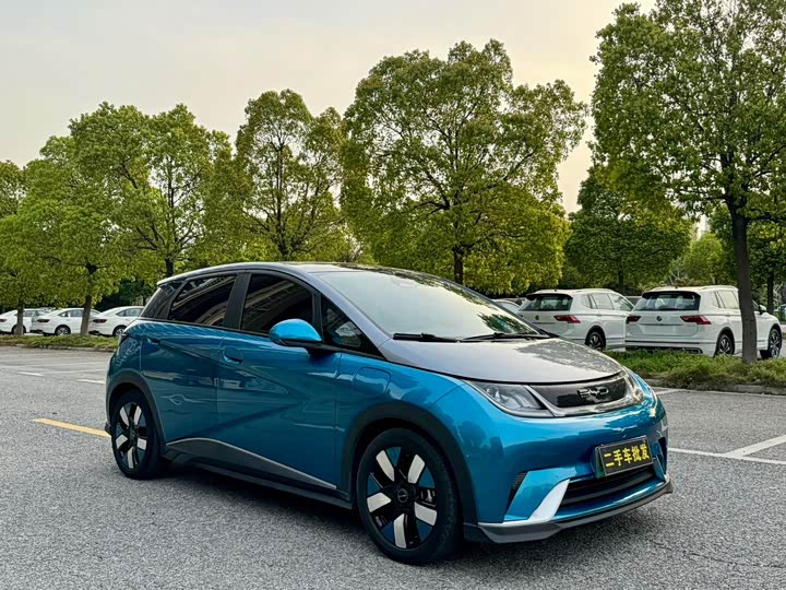 Фото 3 - BYD Dolphin