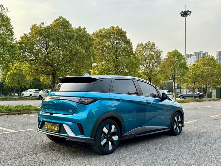 Фото 7 - BYD Dolphin