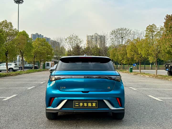 Фото 8 - BYD Dolphin