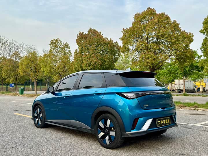 Фото 9 - BYD Dolphin