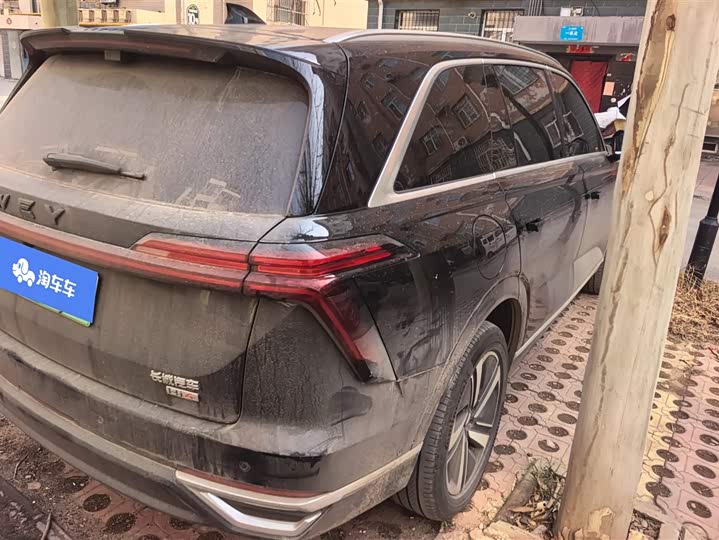 Фото 3 - Wey Lanshan