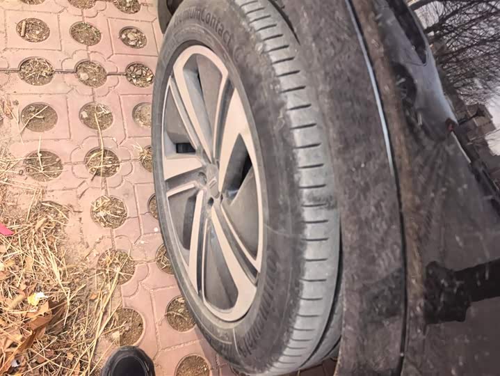 Фото 6 - Wey Lanshan