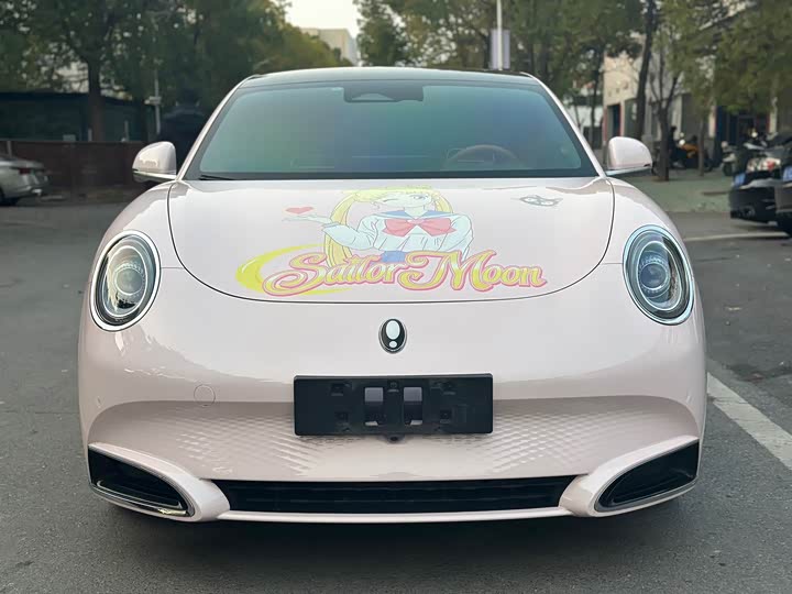 Photo 2 - Ora Lightning Cat (07)