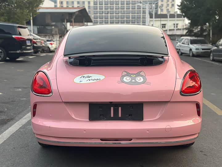 Photo 6 - Ora Lightning Cat (07)