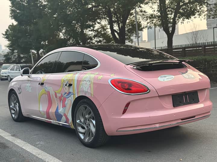 Photo 7 - Ora Lightning Cat (07)