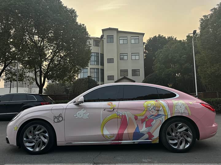 Photo 8 - Ora Lightning Cat (07)