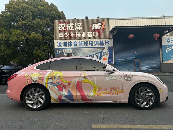 Photo 9 - Ora Lightning Cat (07)