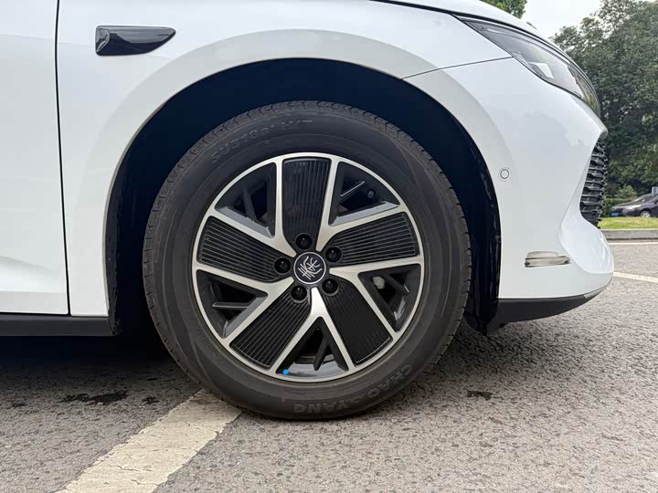 Фото 5 - BYD Qin L