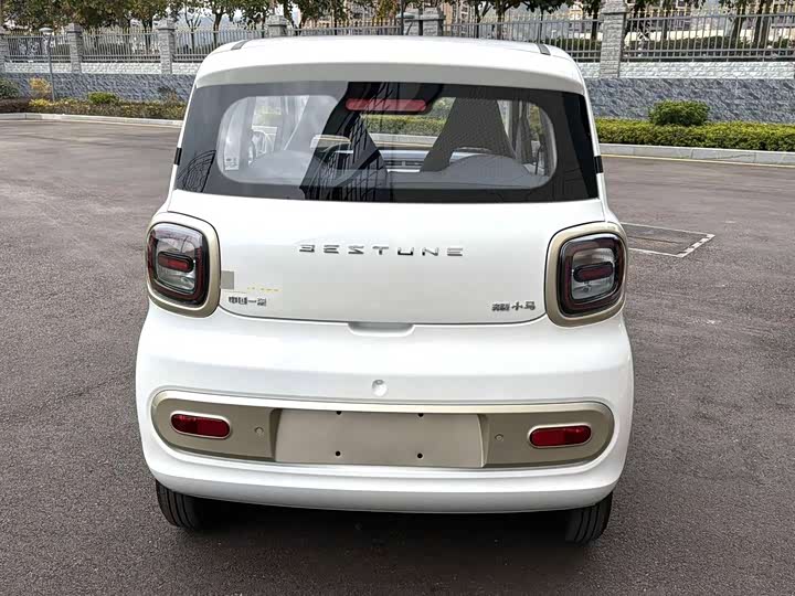 Фото 8 - Bestune Pony