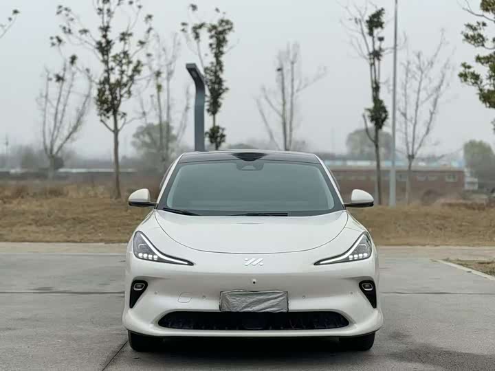 Фото 2 - IM motors LS6