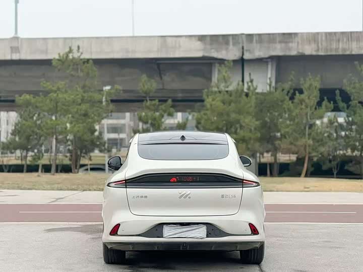 Фото 8 - IM motors LS6