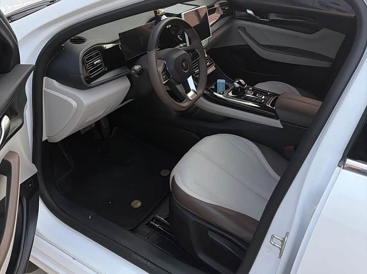 Фото 9 - BYD Qin Plus