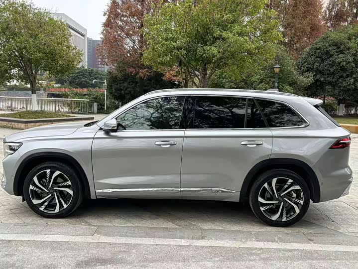 Photo 4 - Geely Monjaro