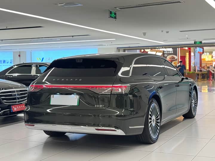 Фото 4 - Stelato S9T