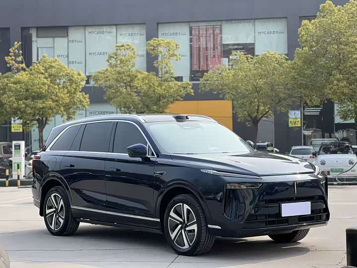 Фото 3 - Wey Lanshan