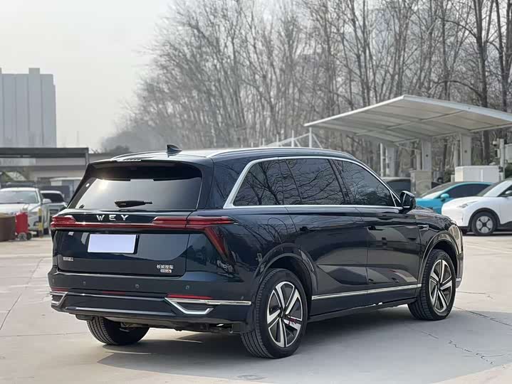 Фото 7 - Wey Lanshan