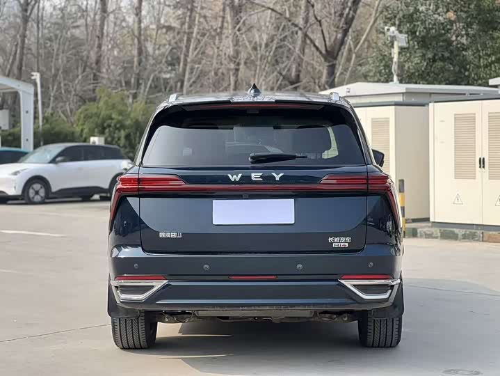 Фото 8 - Wey Lanshan