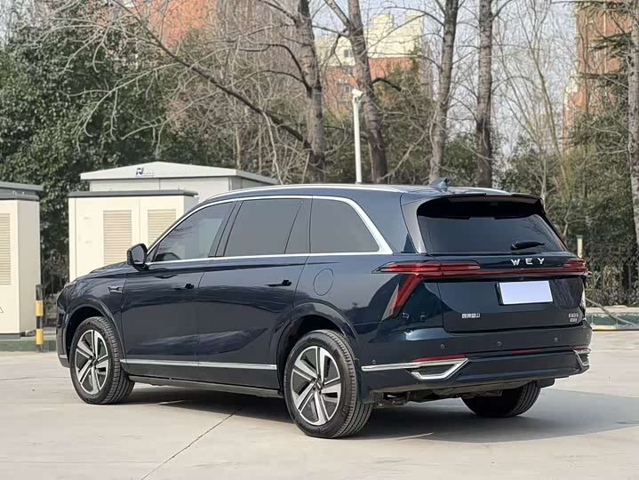 Фото 9 - Wey Lanshan