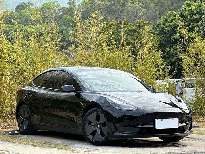 Фото 2 - Tesla Model 3