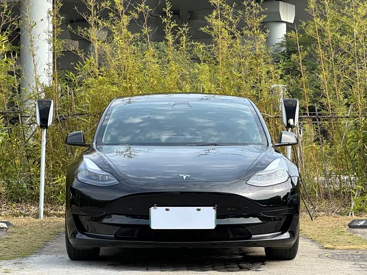 Фото 3 - Tesla Model 3