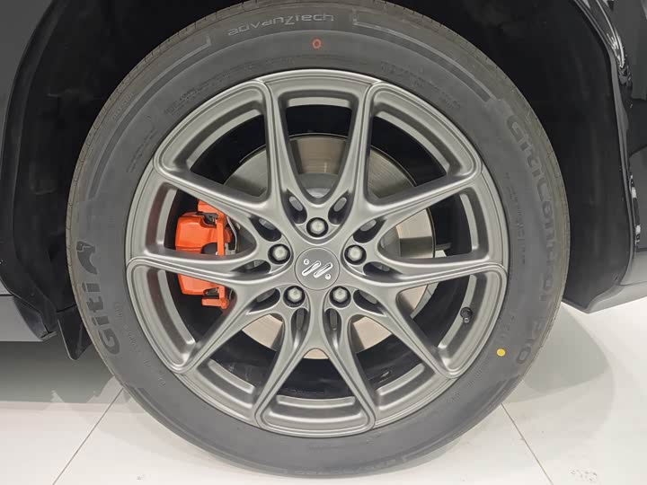 Фото 8 - IM motors LS6